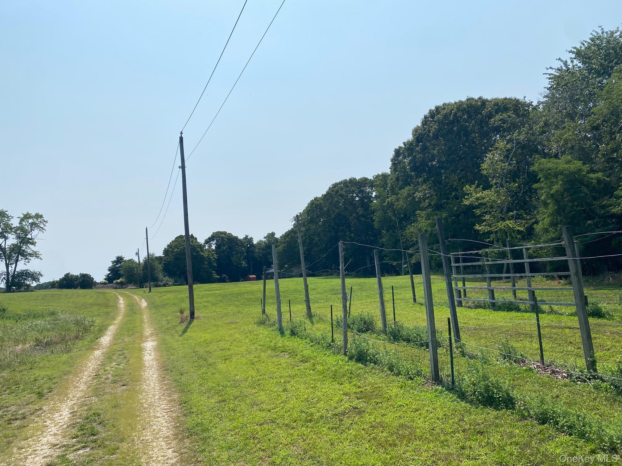 2450 Main Road