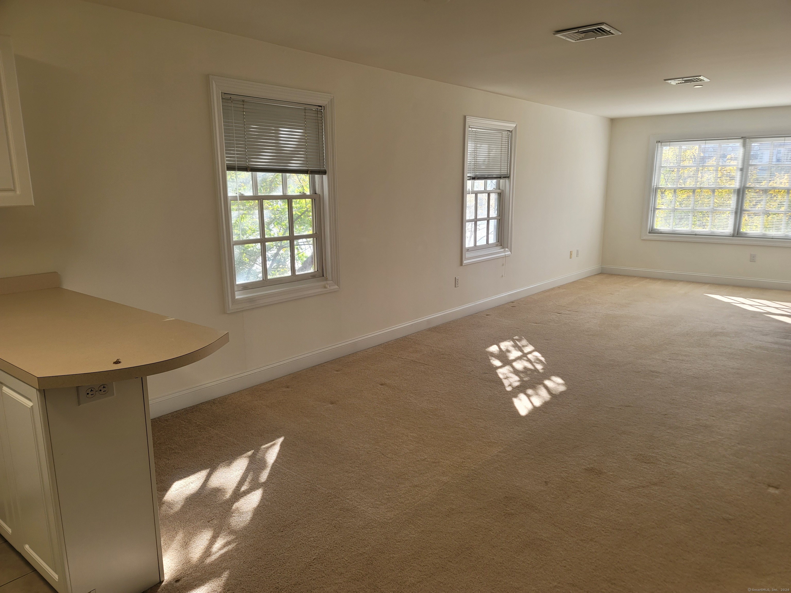 1 Daskams Lane 3A
