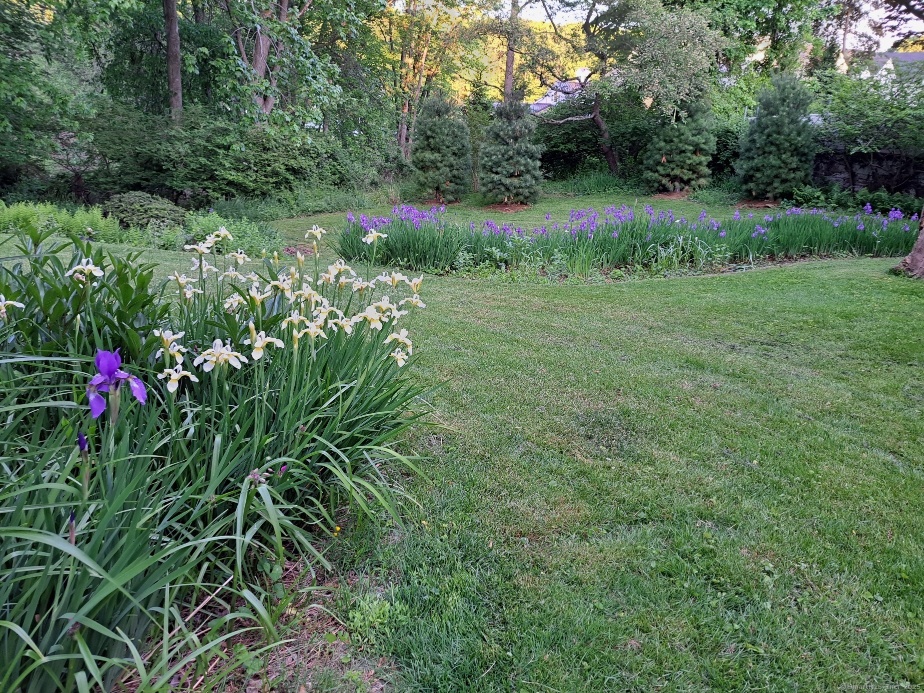 1037 Mill Hill Terrace