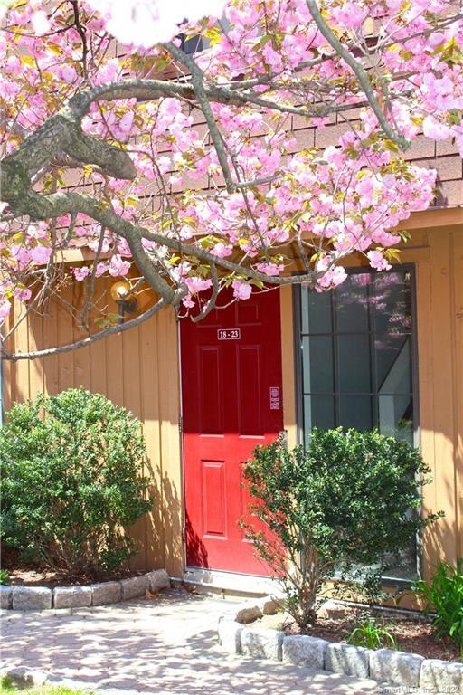 197 Bridge Street APT 23