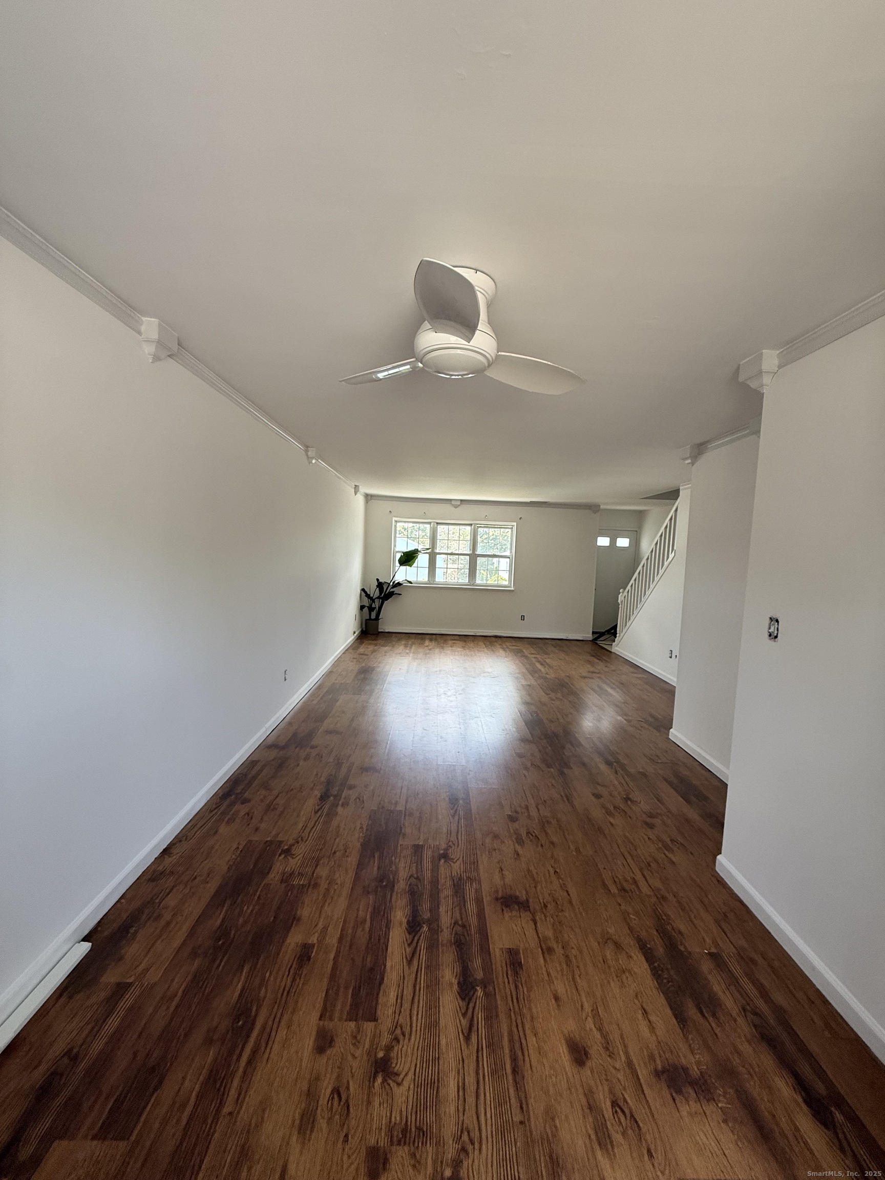 14-1/2 Fairview Avenue C7
