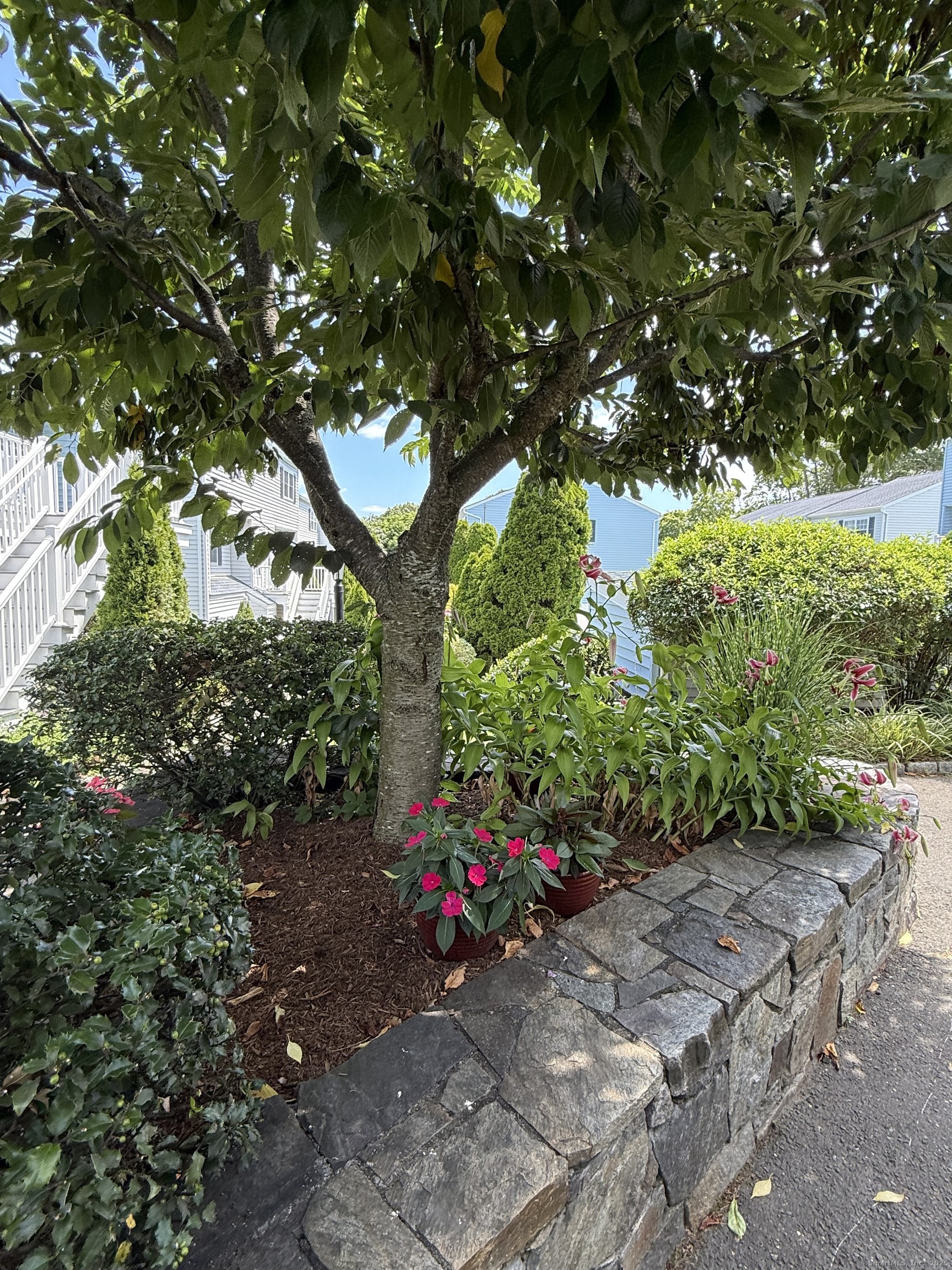 14-1/2 Fairview Avenue C7