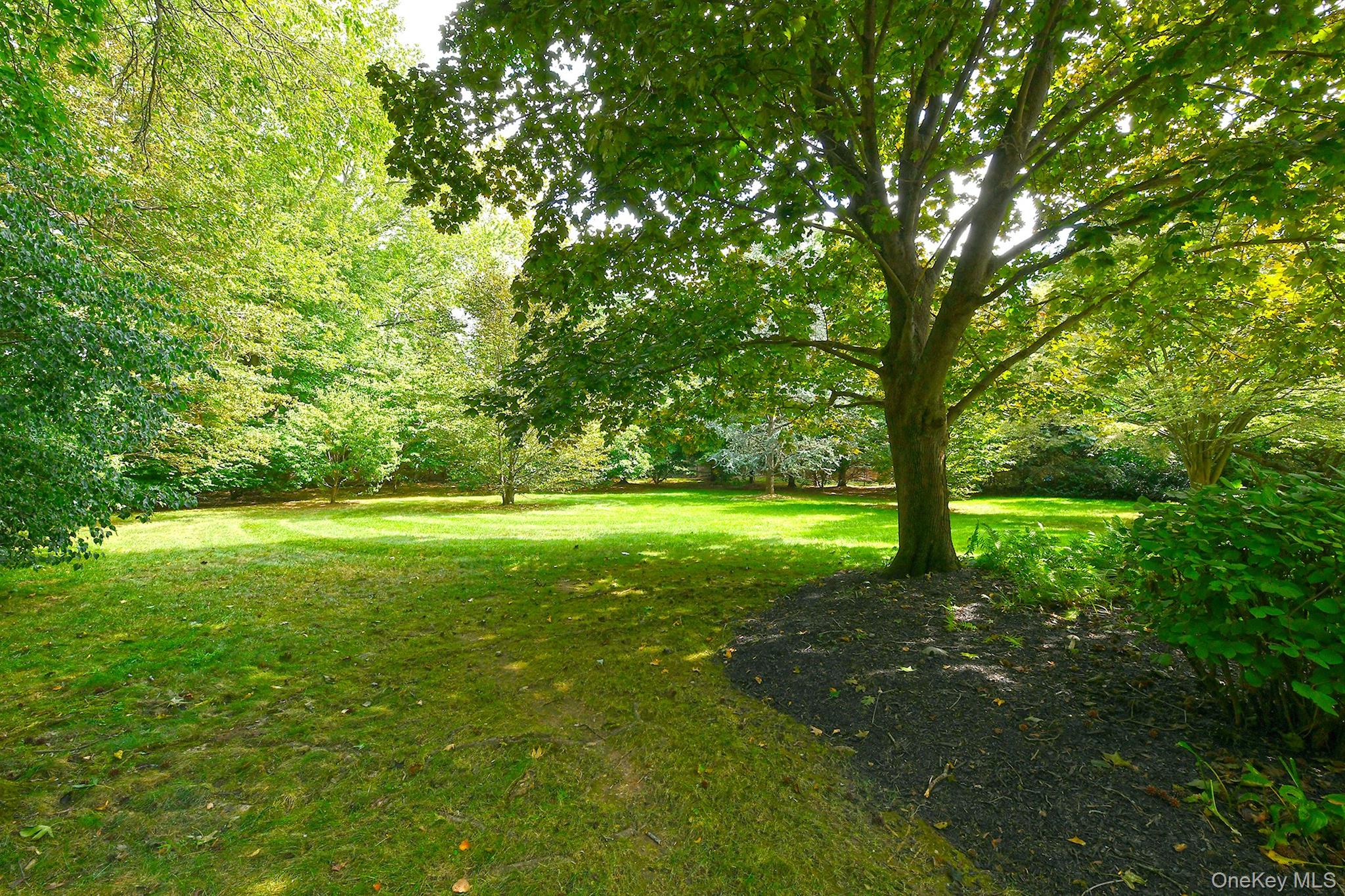 21 W Mall Drive