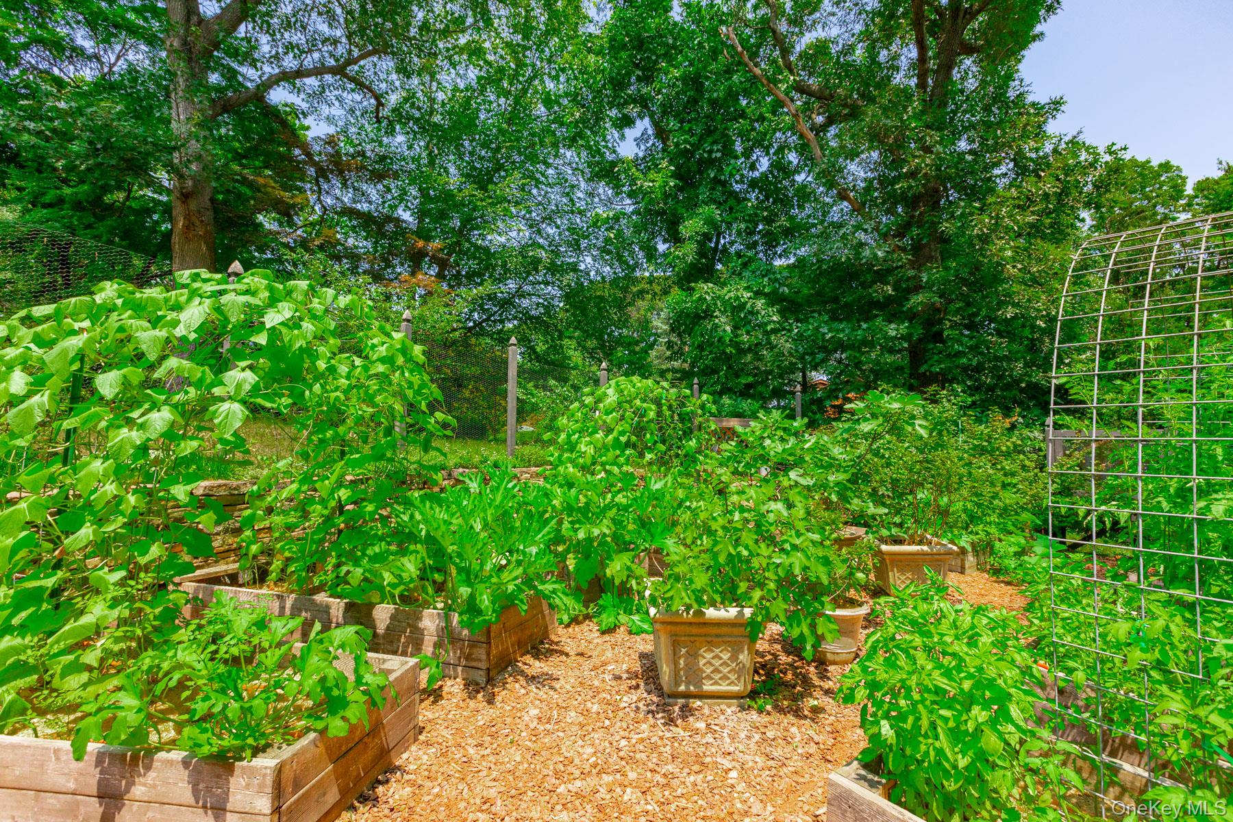 11 Williamsburg Drive