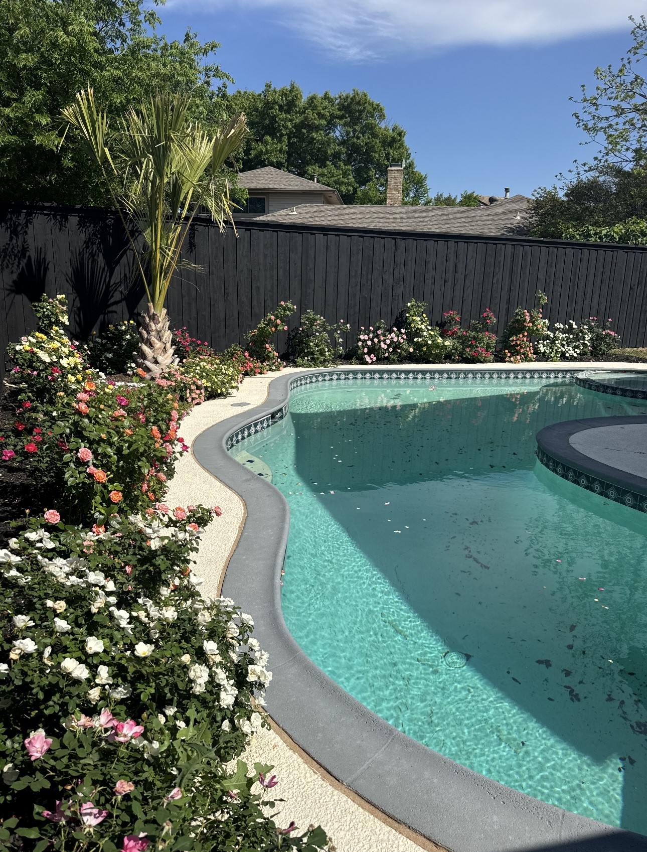 10231 Echo Ridge Court