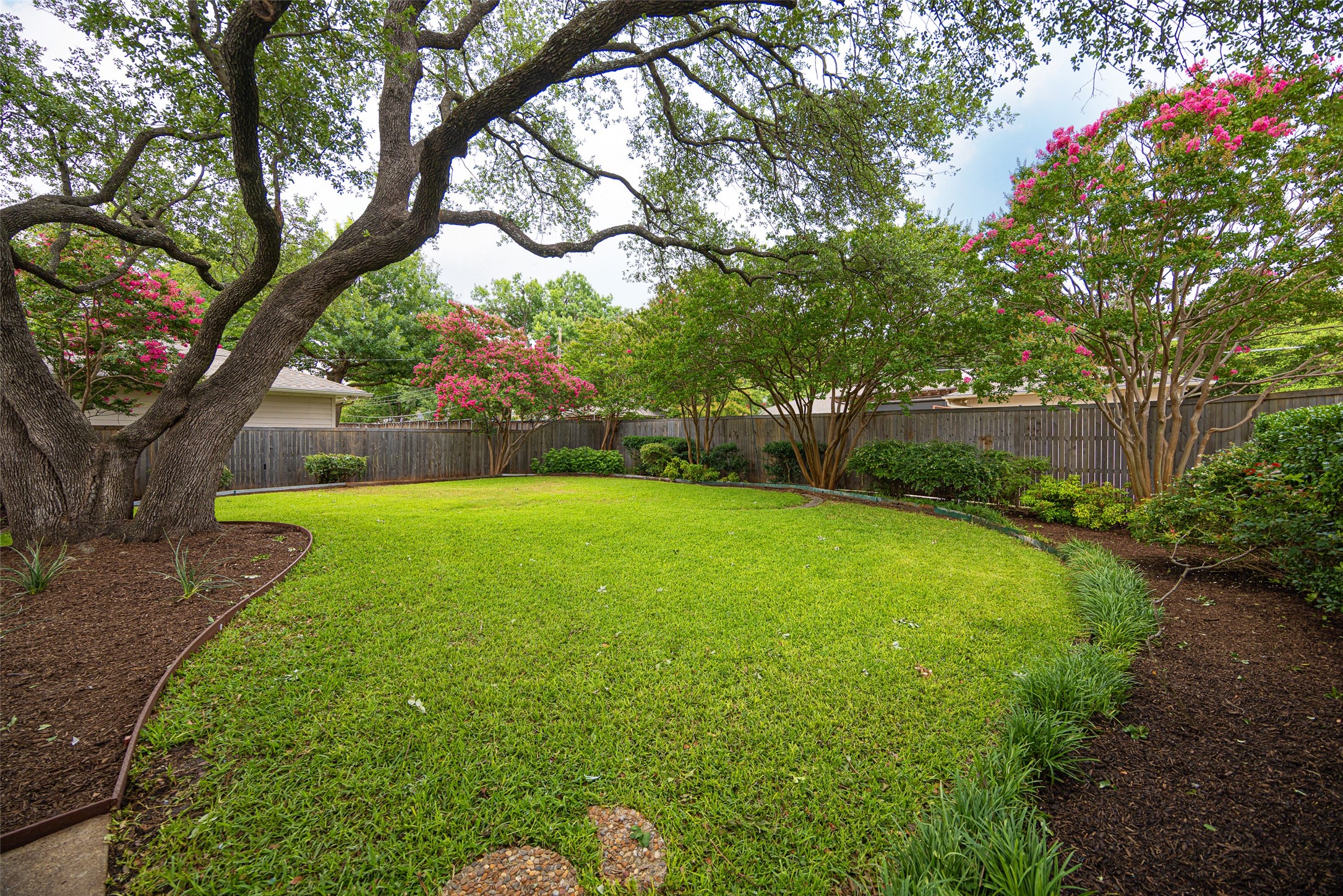 Backyard lawn beneath mature trees, with pink flowering trees and a wooden privacy fence.