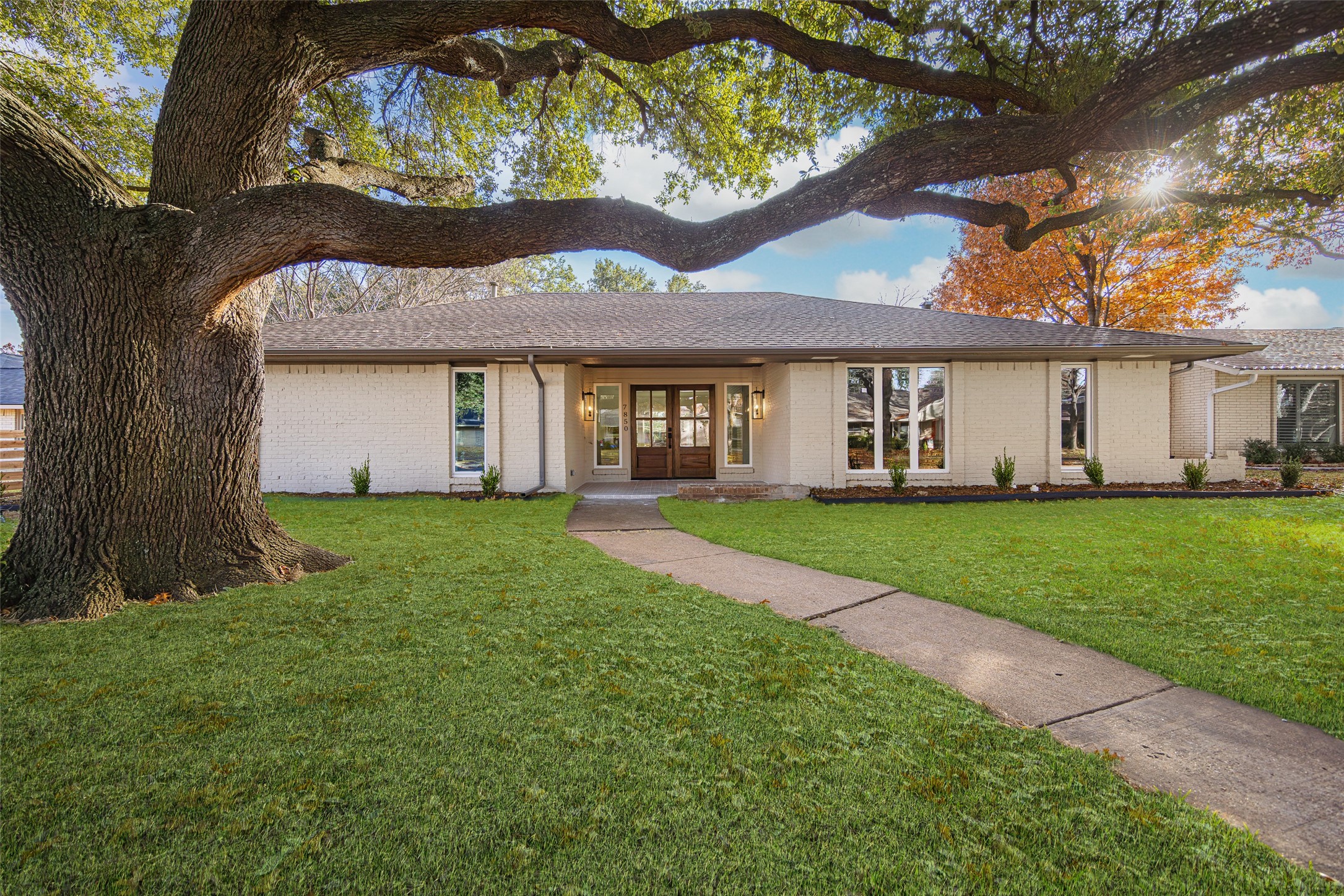 Single-story white brick house framed by a large tree, with a curved walkway to the wood entry.