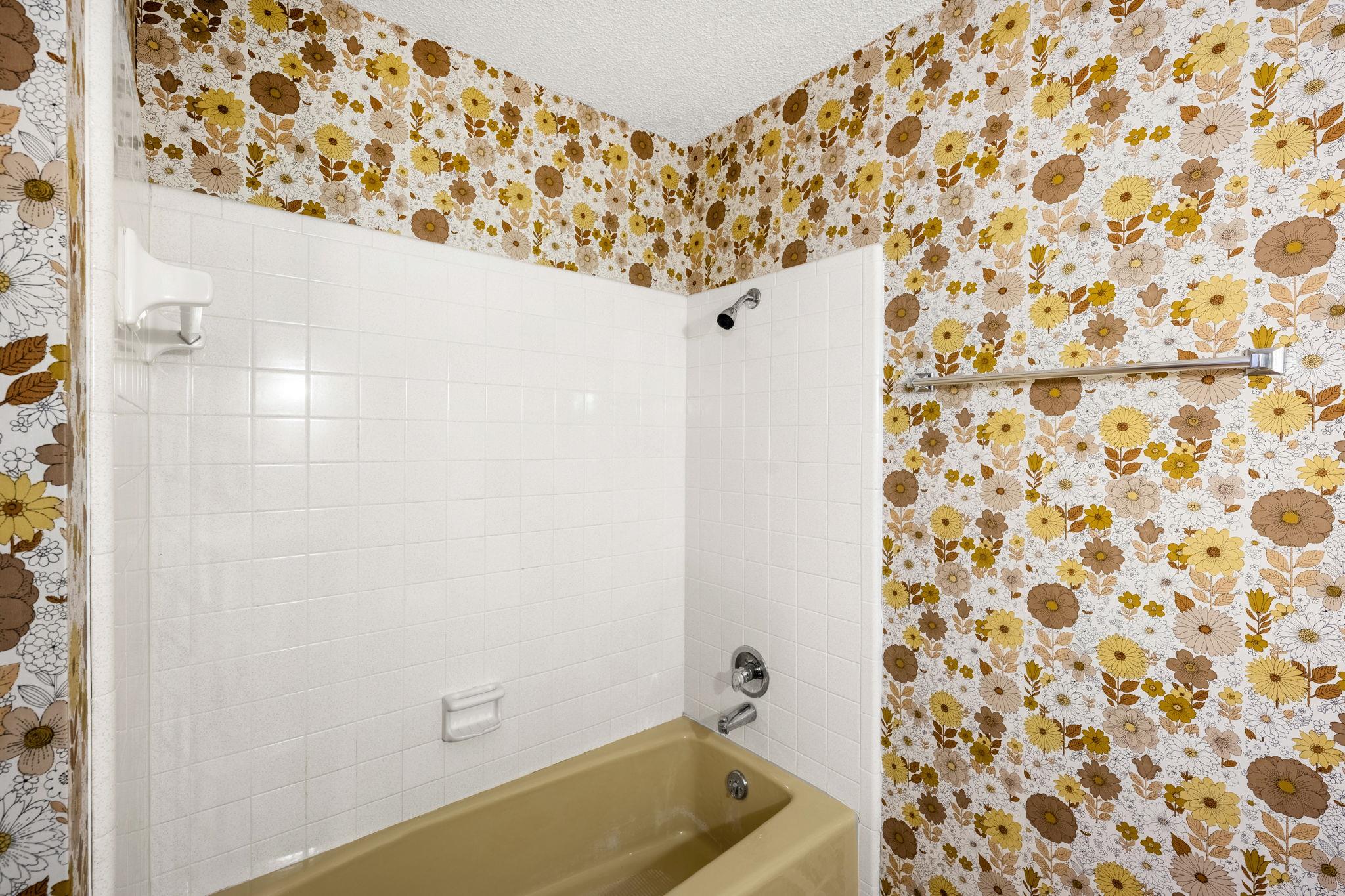 792 Evening Star, McGregor