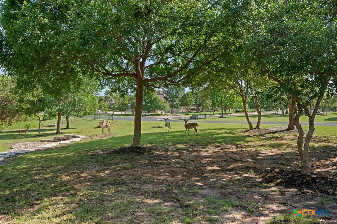 200 Canyon Vista Lane