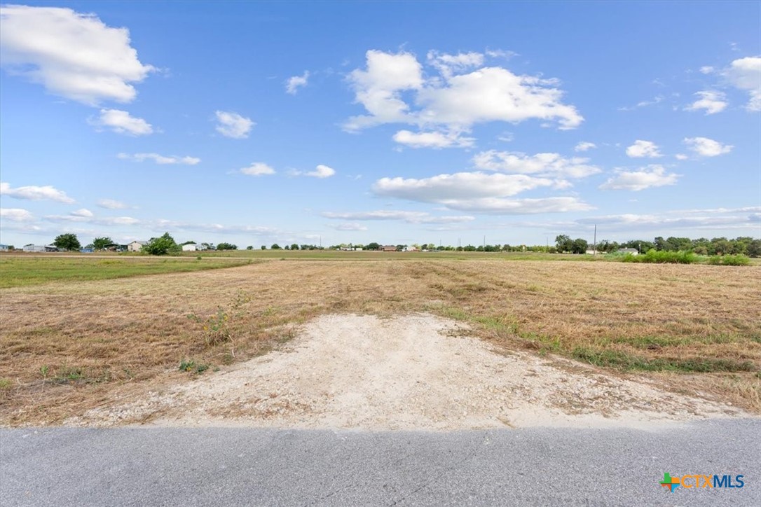 2308 Bluebonnet Drive