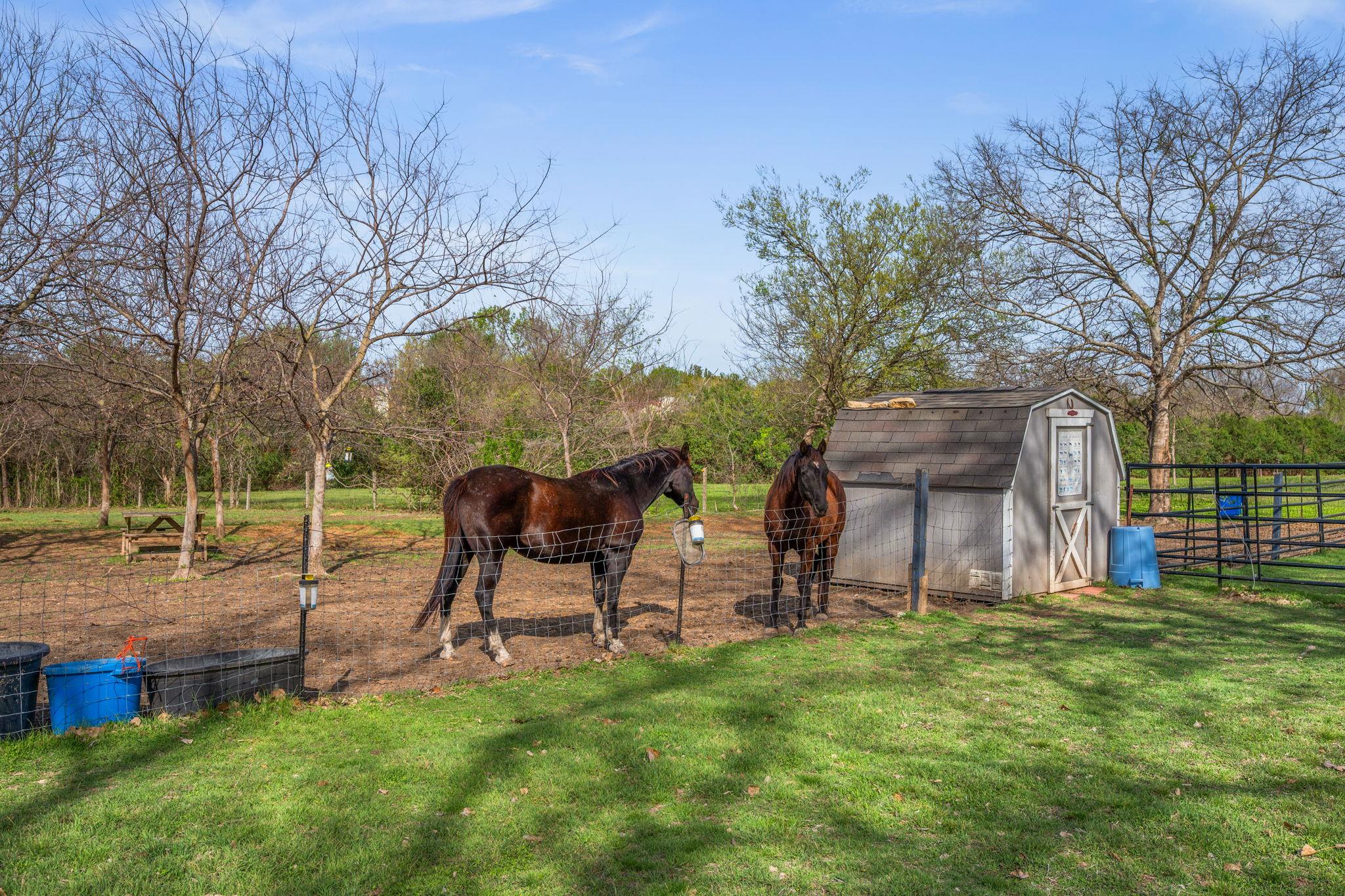 902 Ray Berglund BLVD