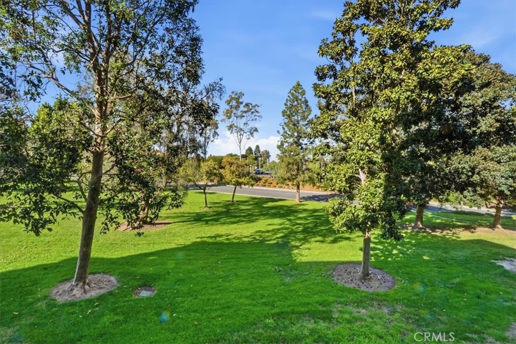3499 Bahia Blanca W B1