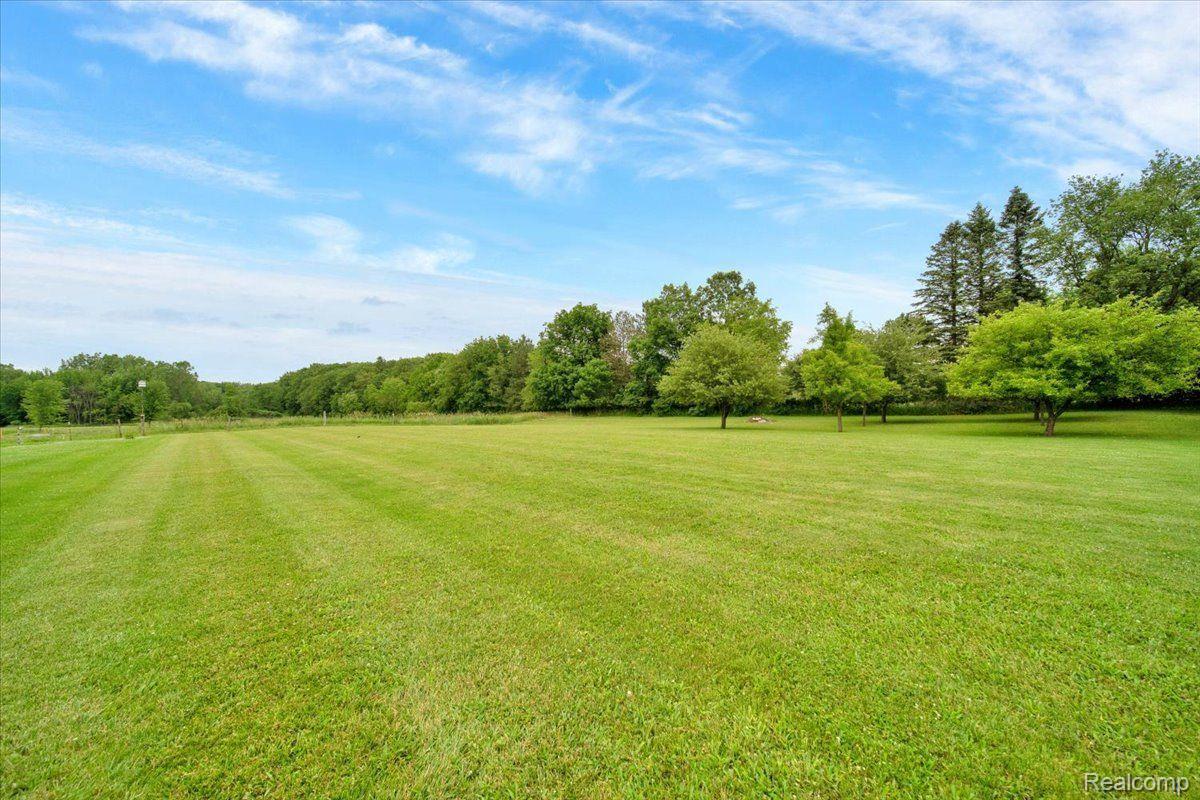 Open grassy property with scattered trees and a wooded tree line.