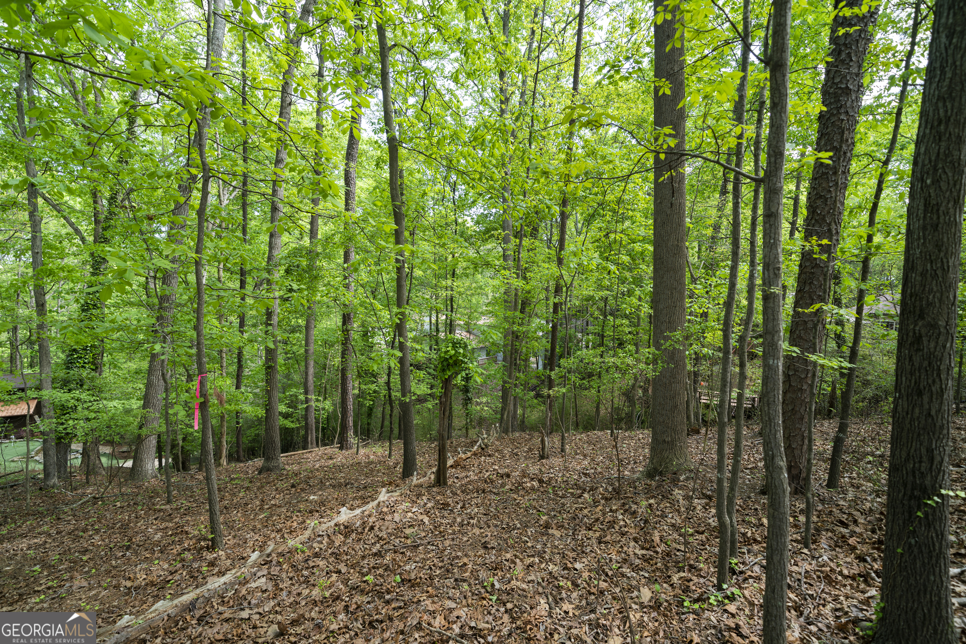 0 Island Mill Road, Acworth