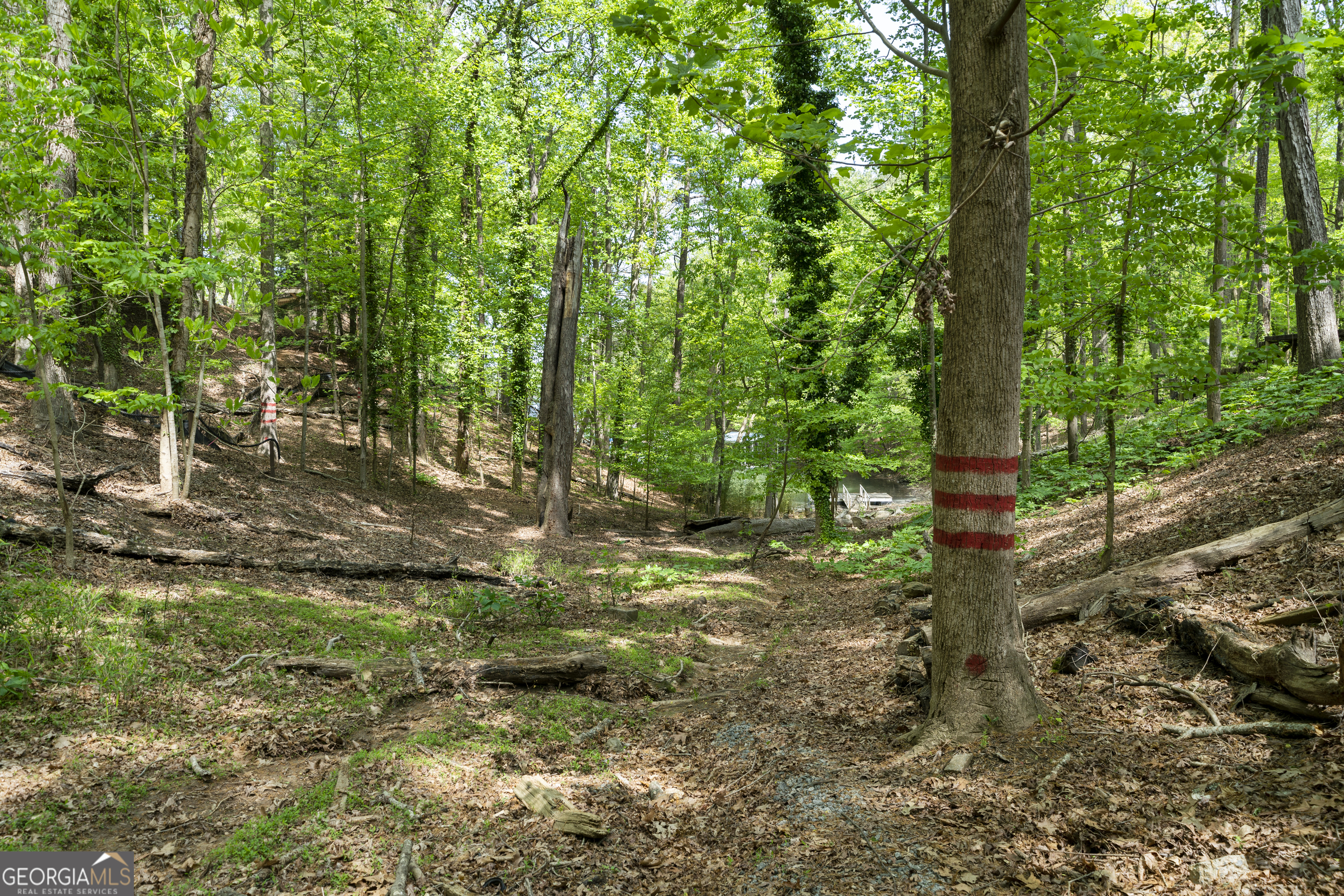 0 Island Mill Road, Acworth