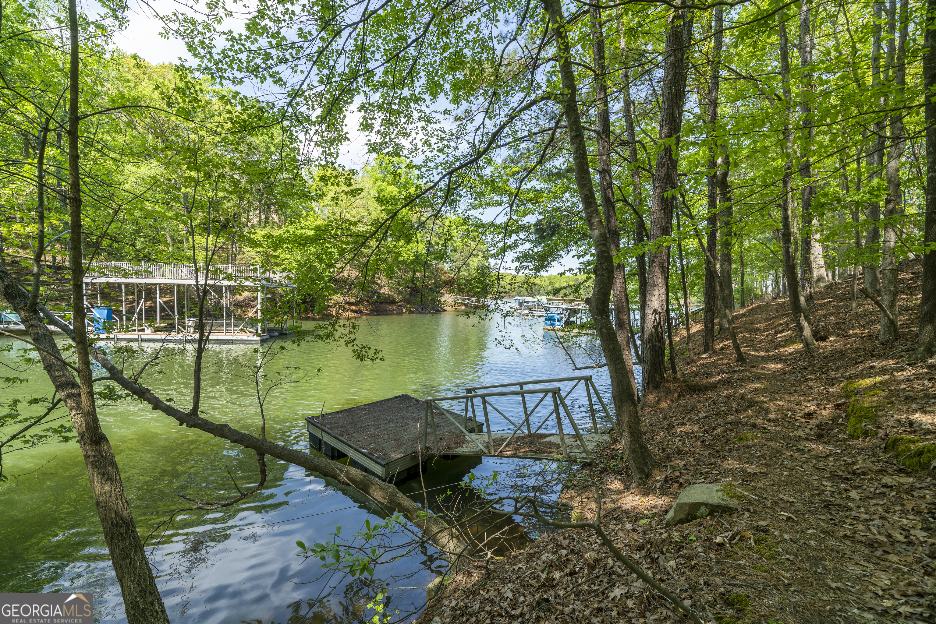 0 Island Mill Road, Acworth