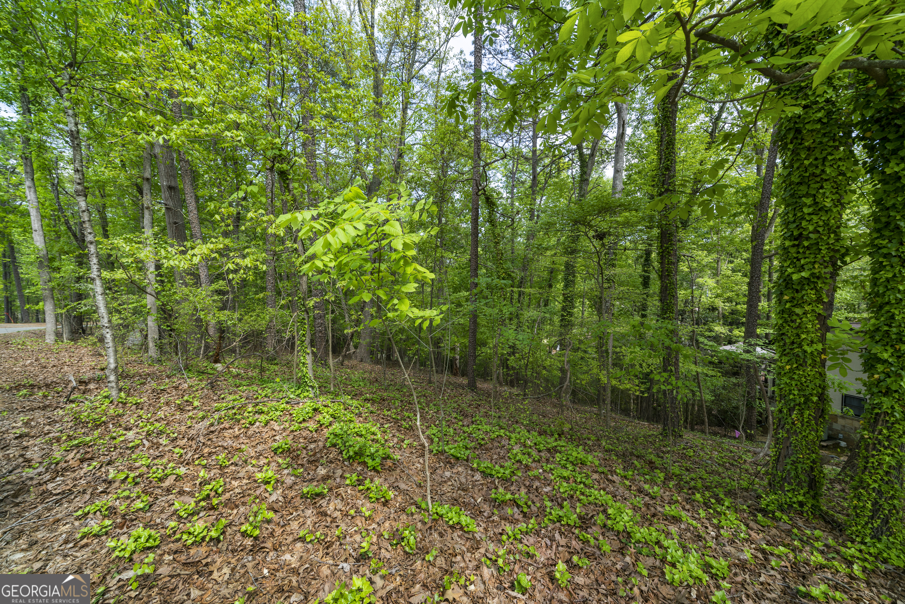 0 Island Mill Road, Acworth