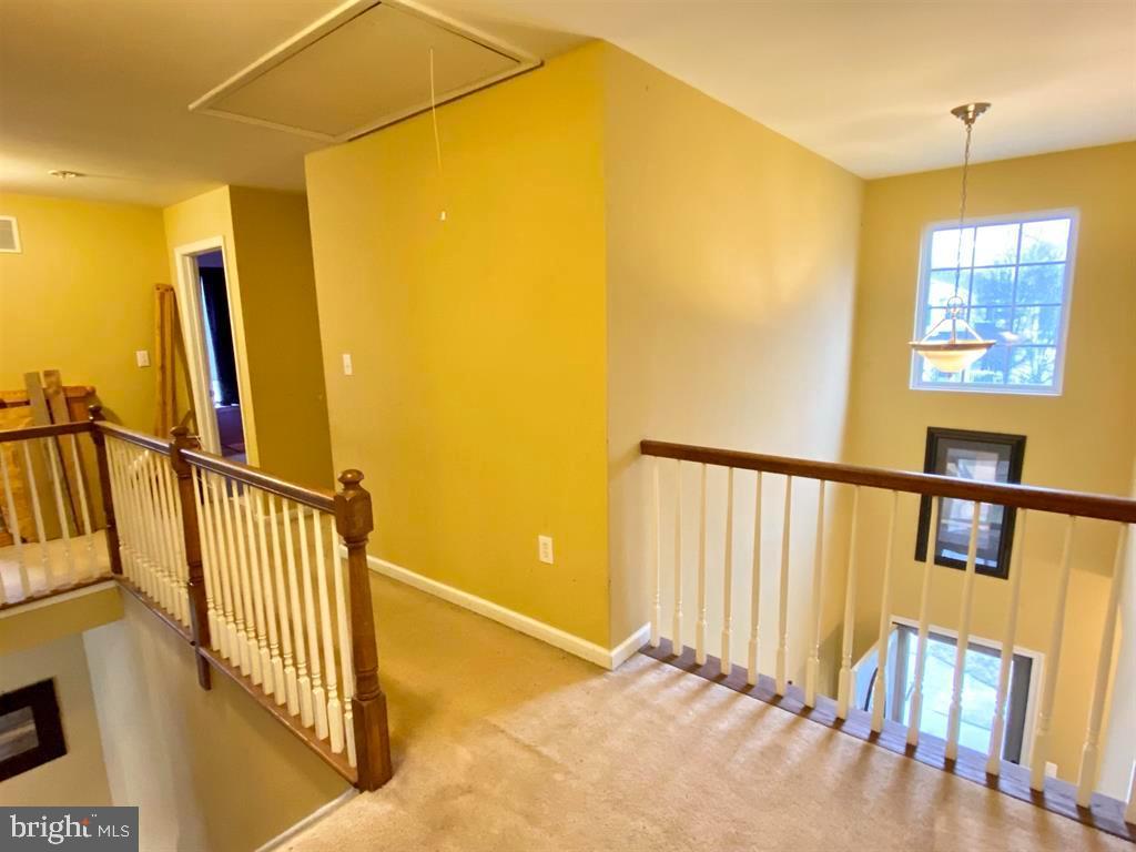 308 Elton Ln