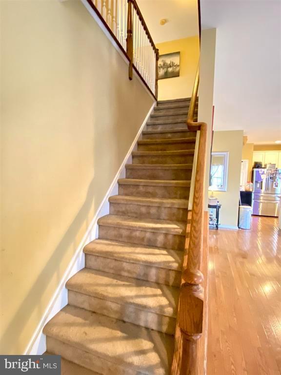 308 Elton Ln