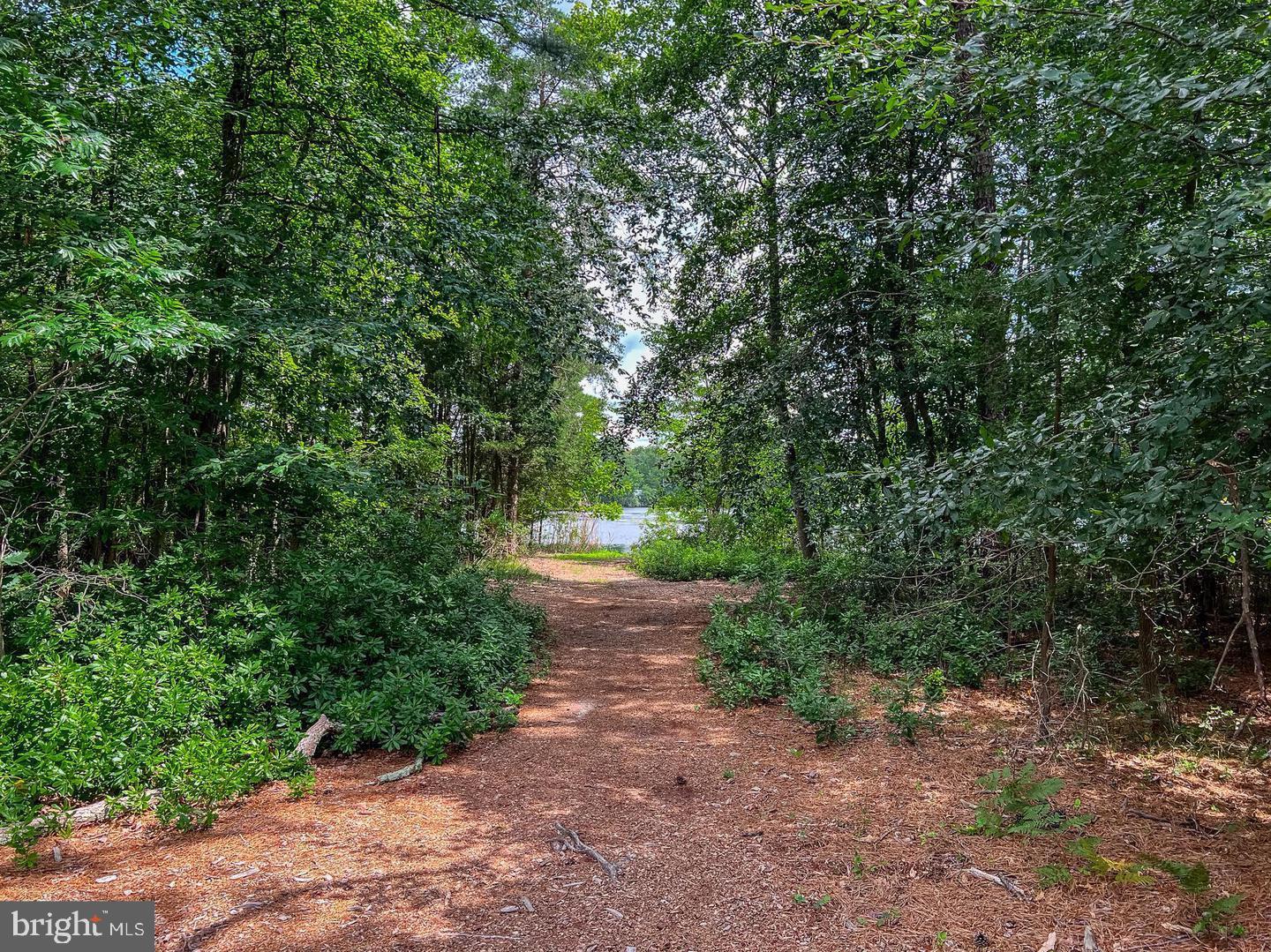 235 LAKESHORE DRIVE