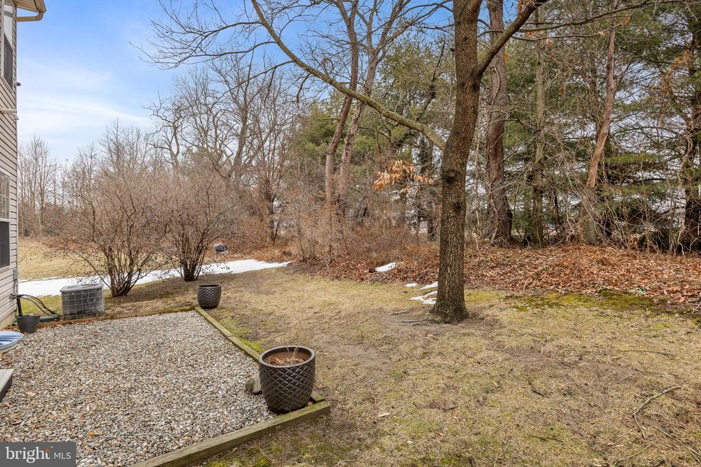 81 SASSAFRAS DRIVE