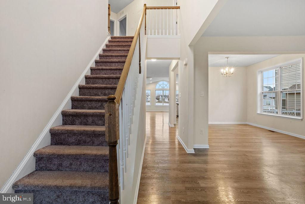 32 Cayuga Ct