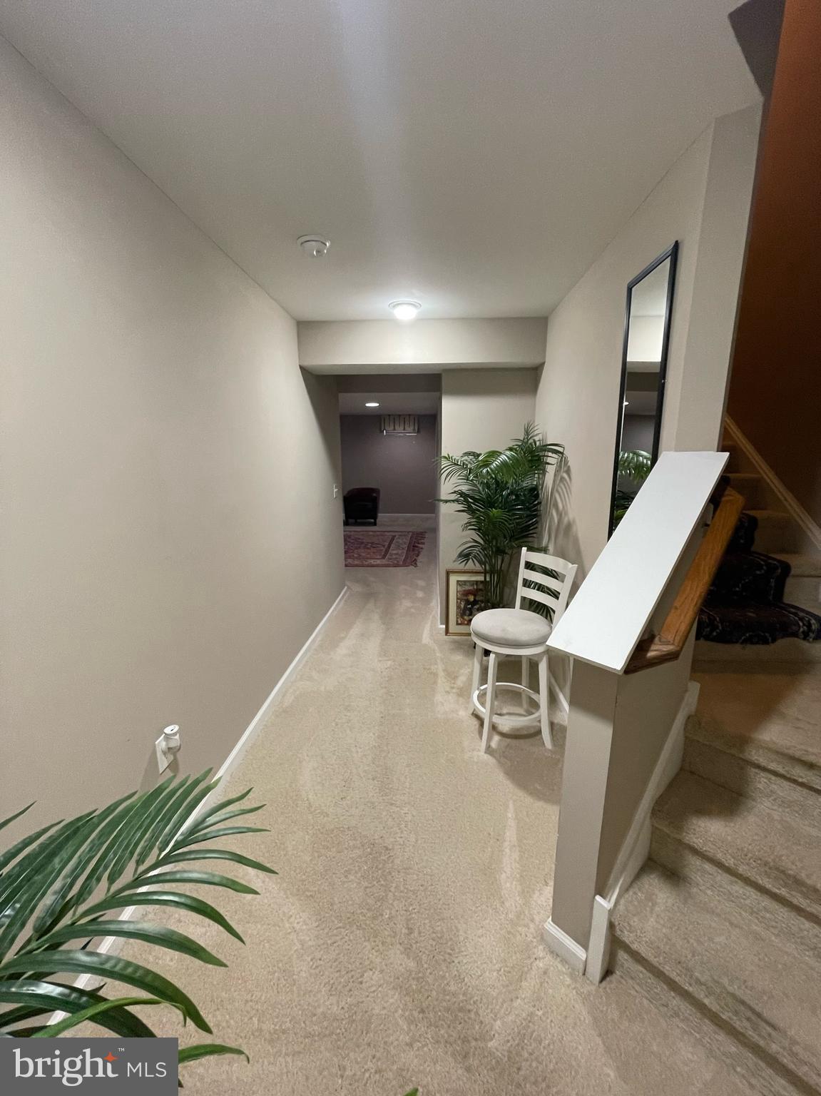 18 Panfili Ln