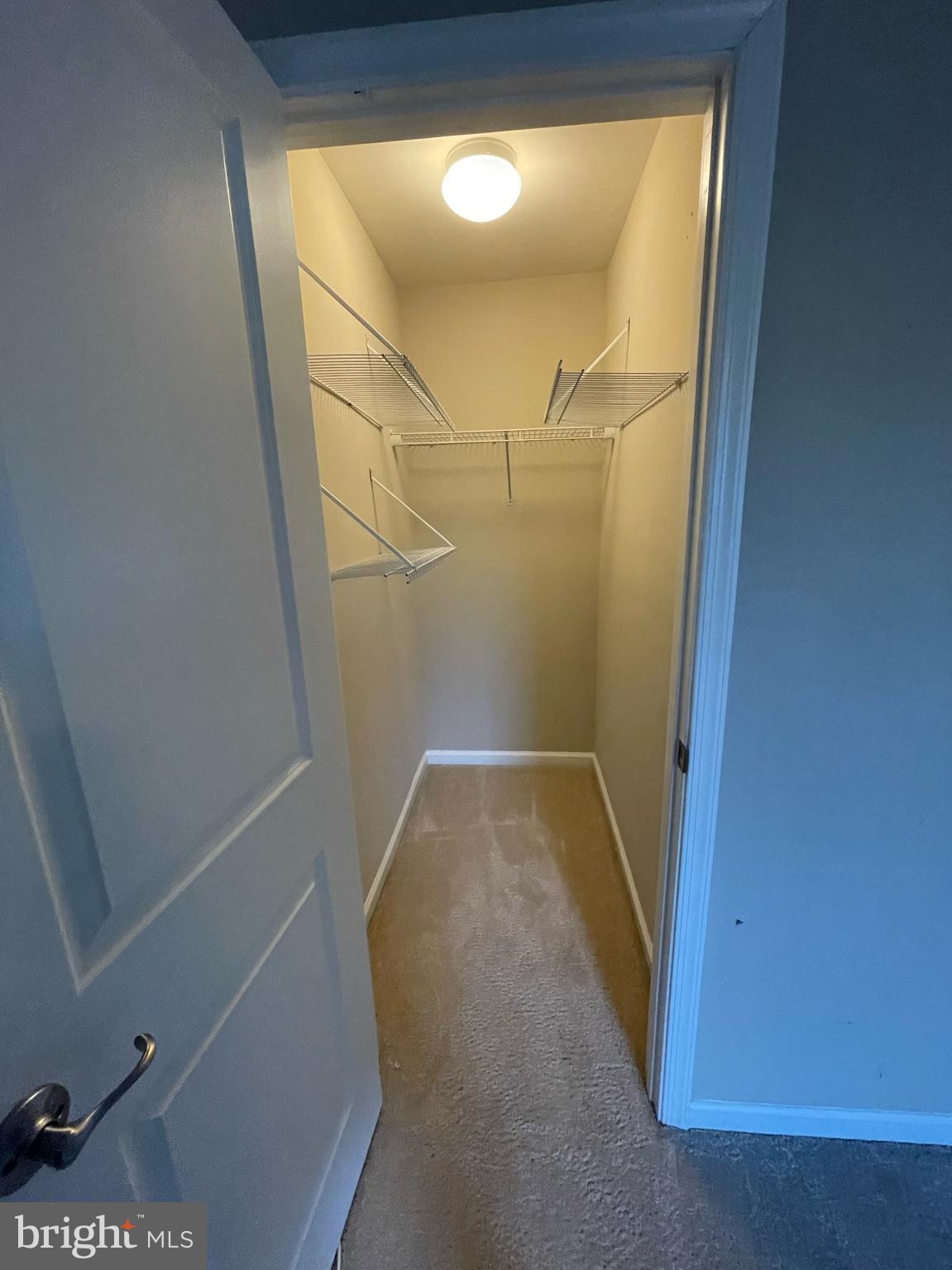 18 Panfili Ln