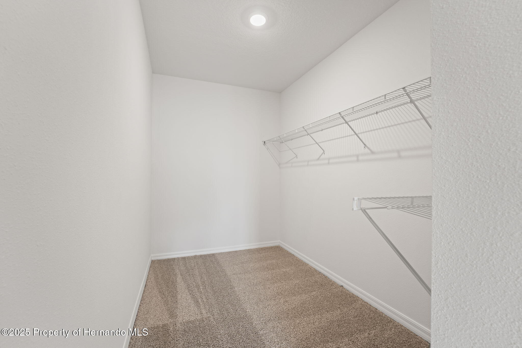 3655 Moscato Dr Drive
