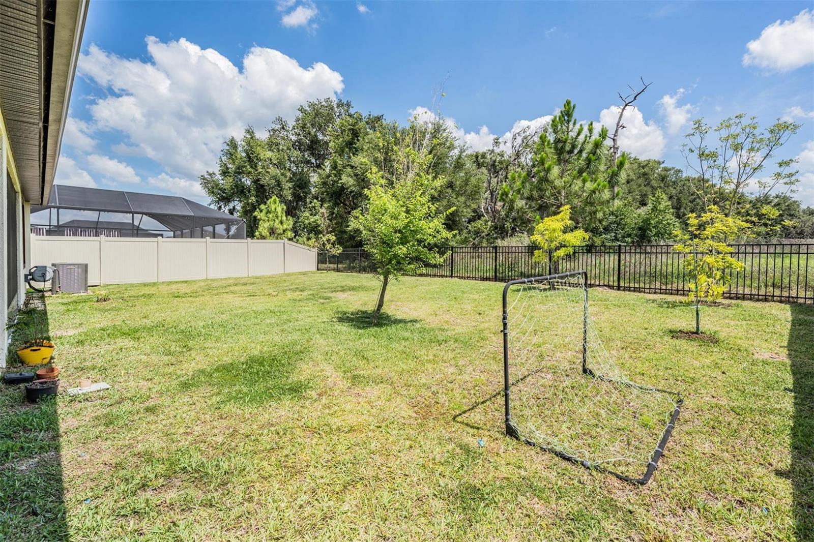 9405 IBIS GROVE BLVD