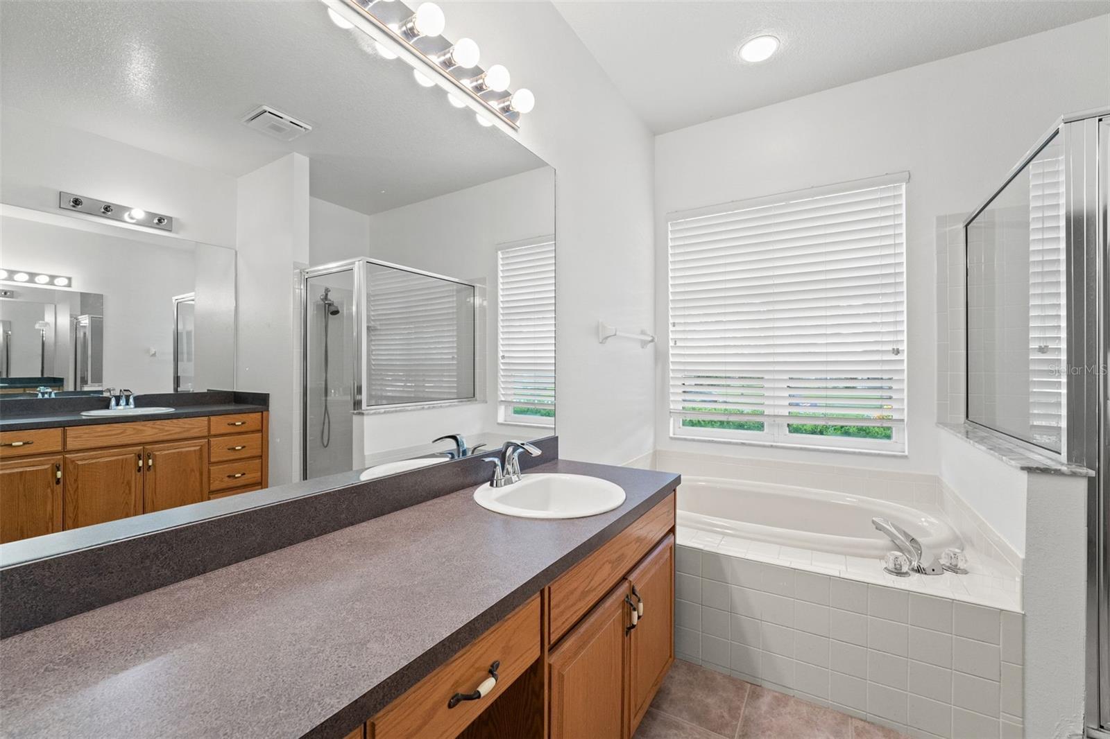 10208 THICKET POINT WAY