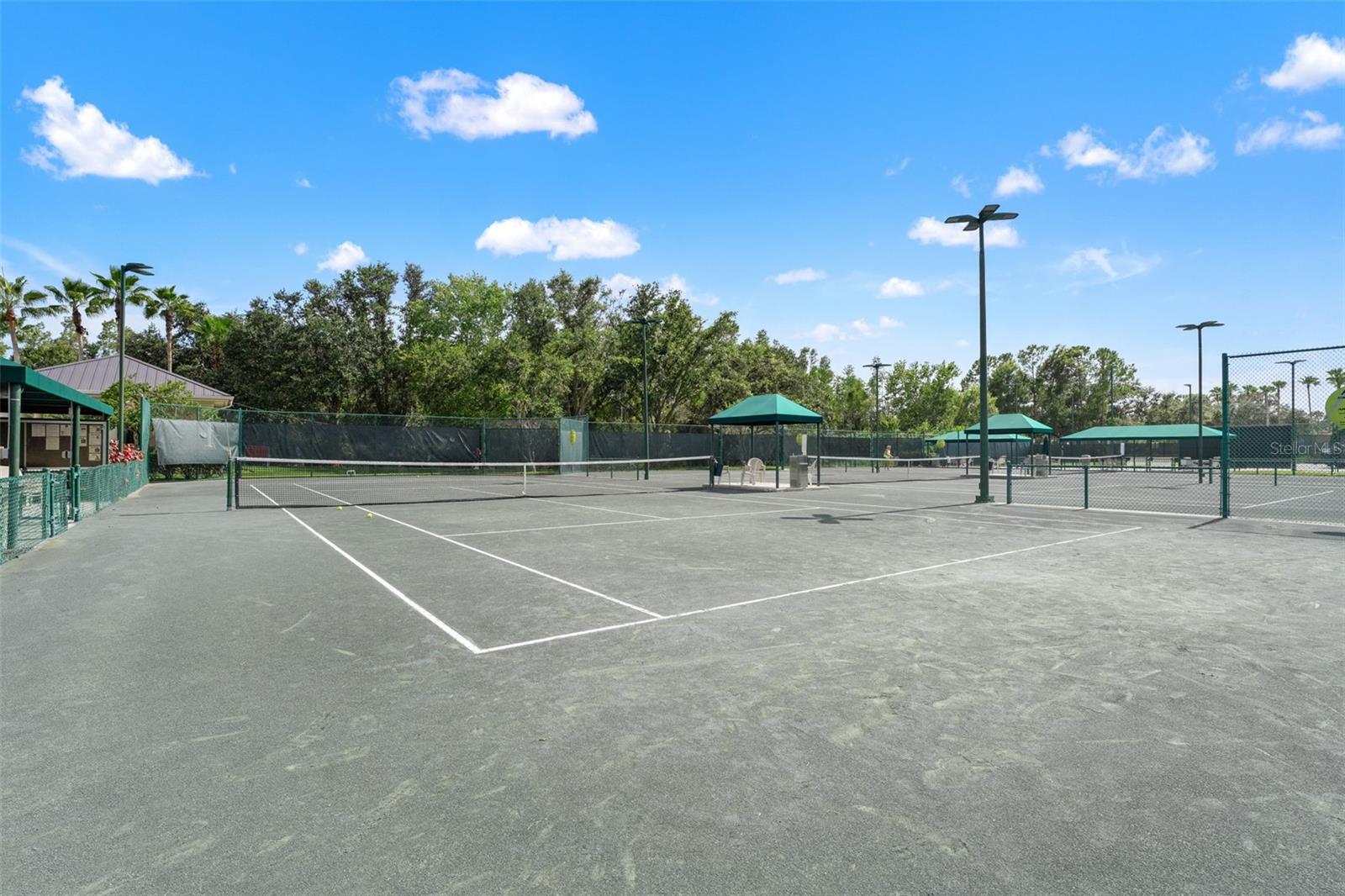 10208 THICKET POINT WAY