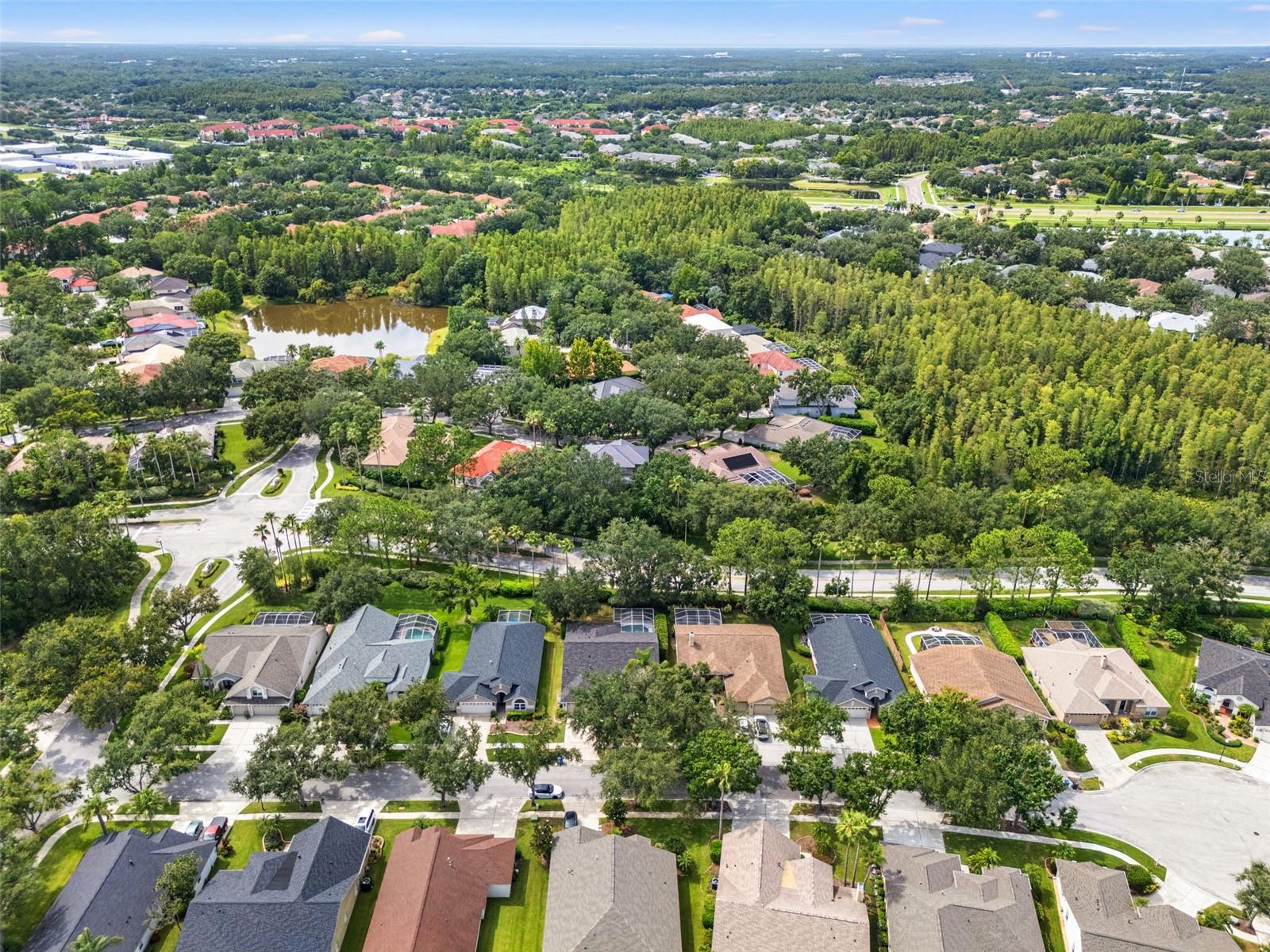 10208 THICKET POINT WAY