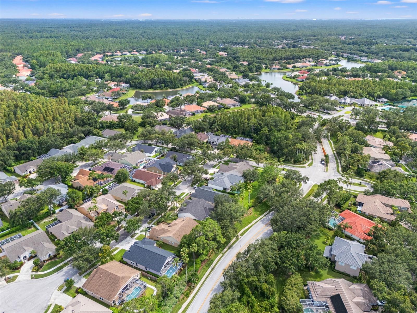 10208 THICKET POINT WAY