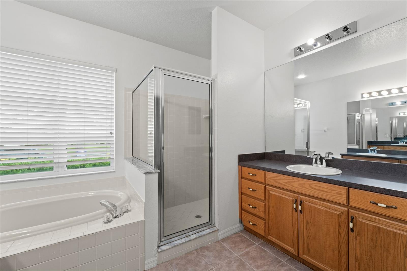 10208 THICKET POINT WAY