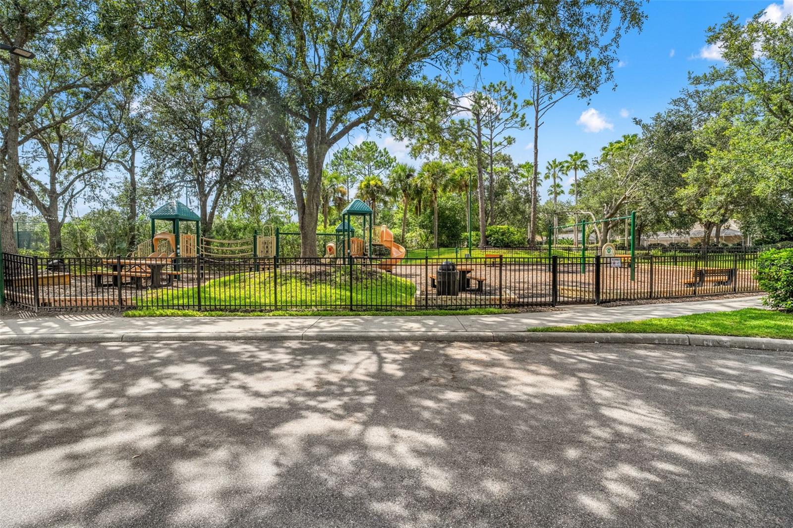 10208 THICKET POINT WAY