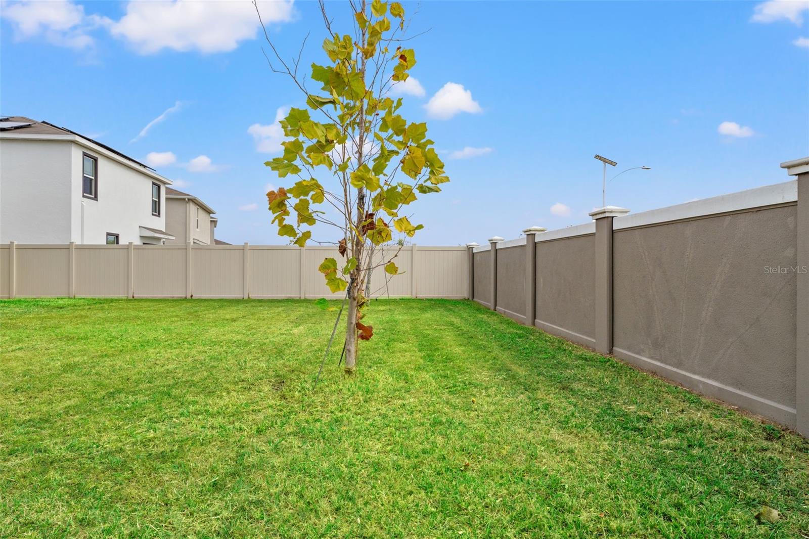 30753 PENNY SURF LOOP