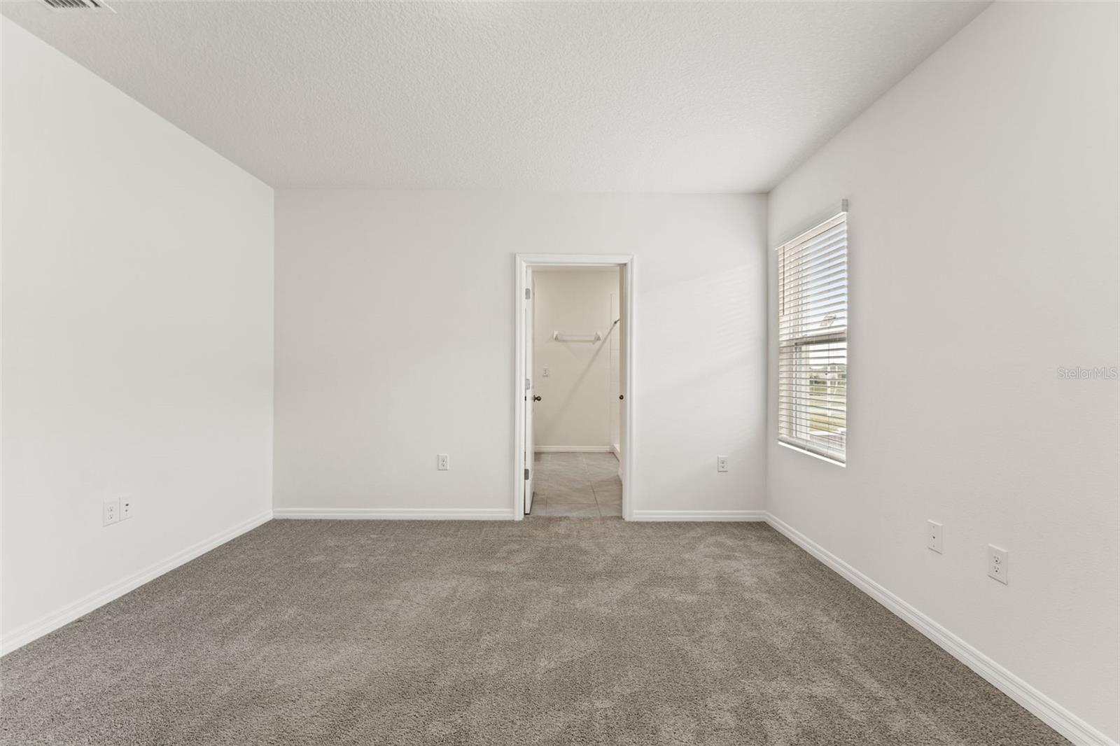 30753 PENNY SURF LOOP