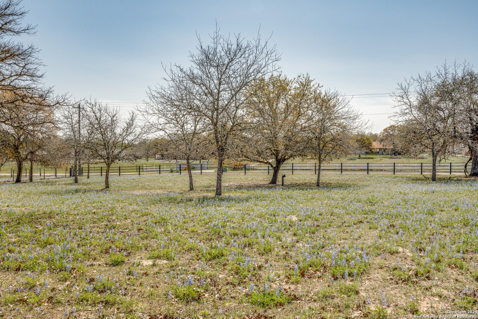 238 Ranch Country