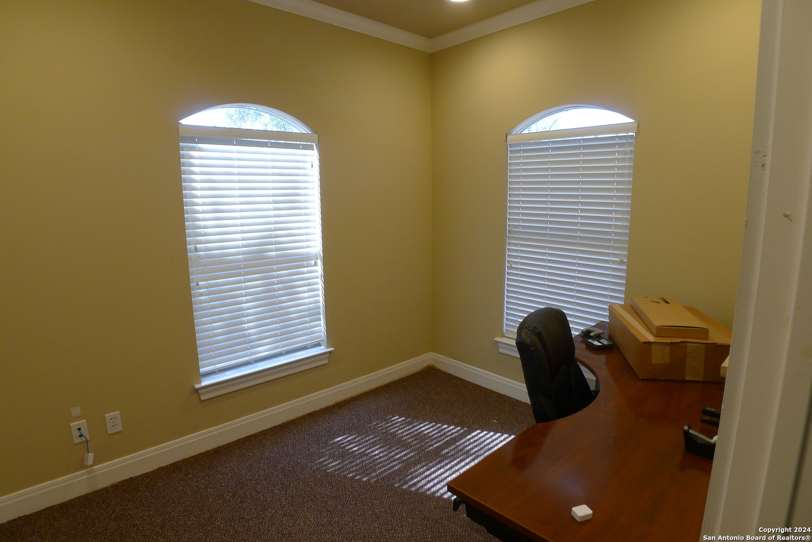 1619 E COMMON ST Unit: 1004