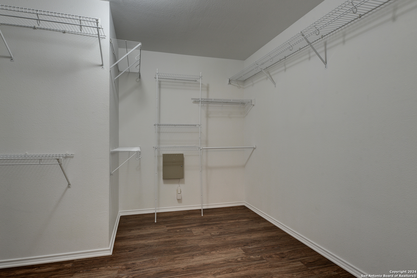 248 TEXAS MULBERRY
