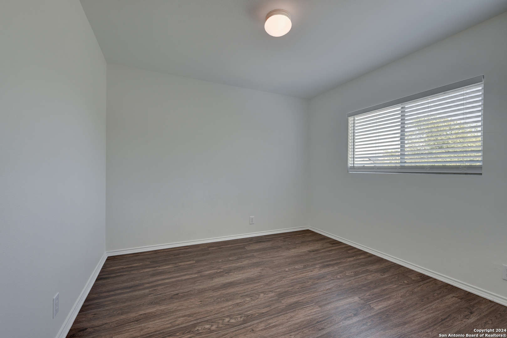 248 TEXAS MULBERRY