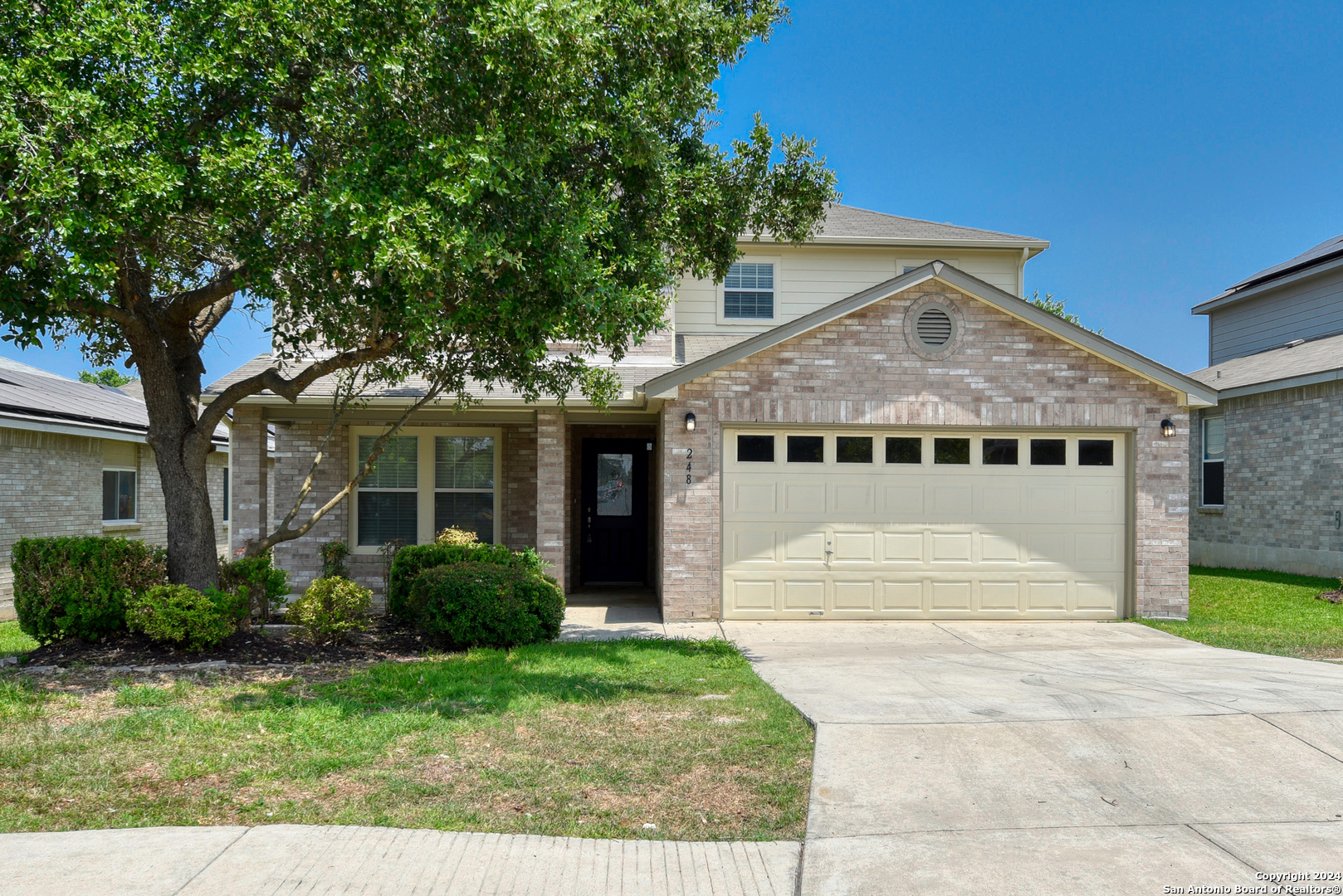 248 TEXAS MULBERRY