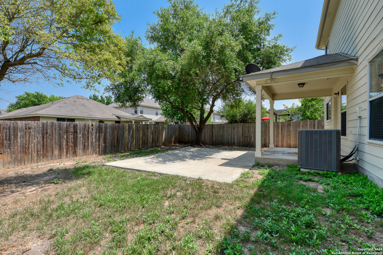 248 TEXAS MULBERRY