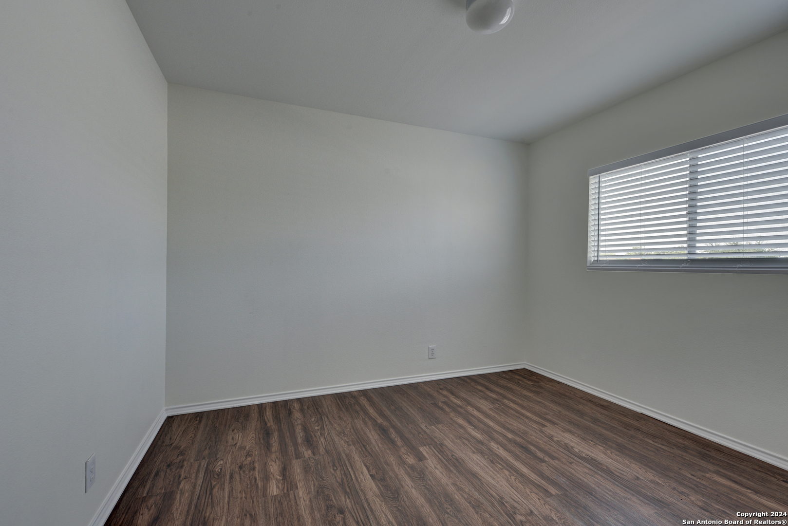 248 TEXAS MULBERRY