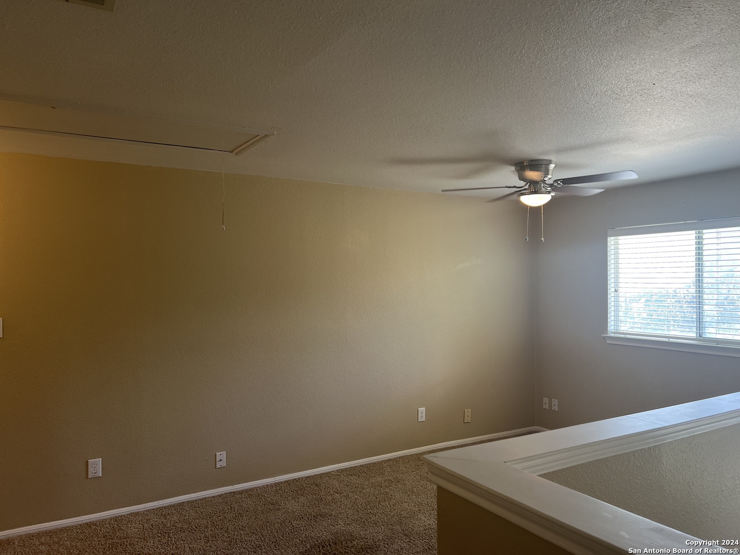 20507 TREE MDW