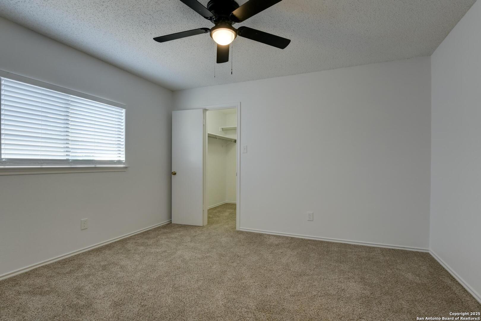 13723 Wondering Oak