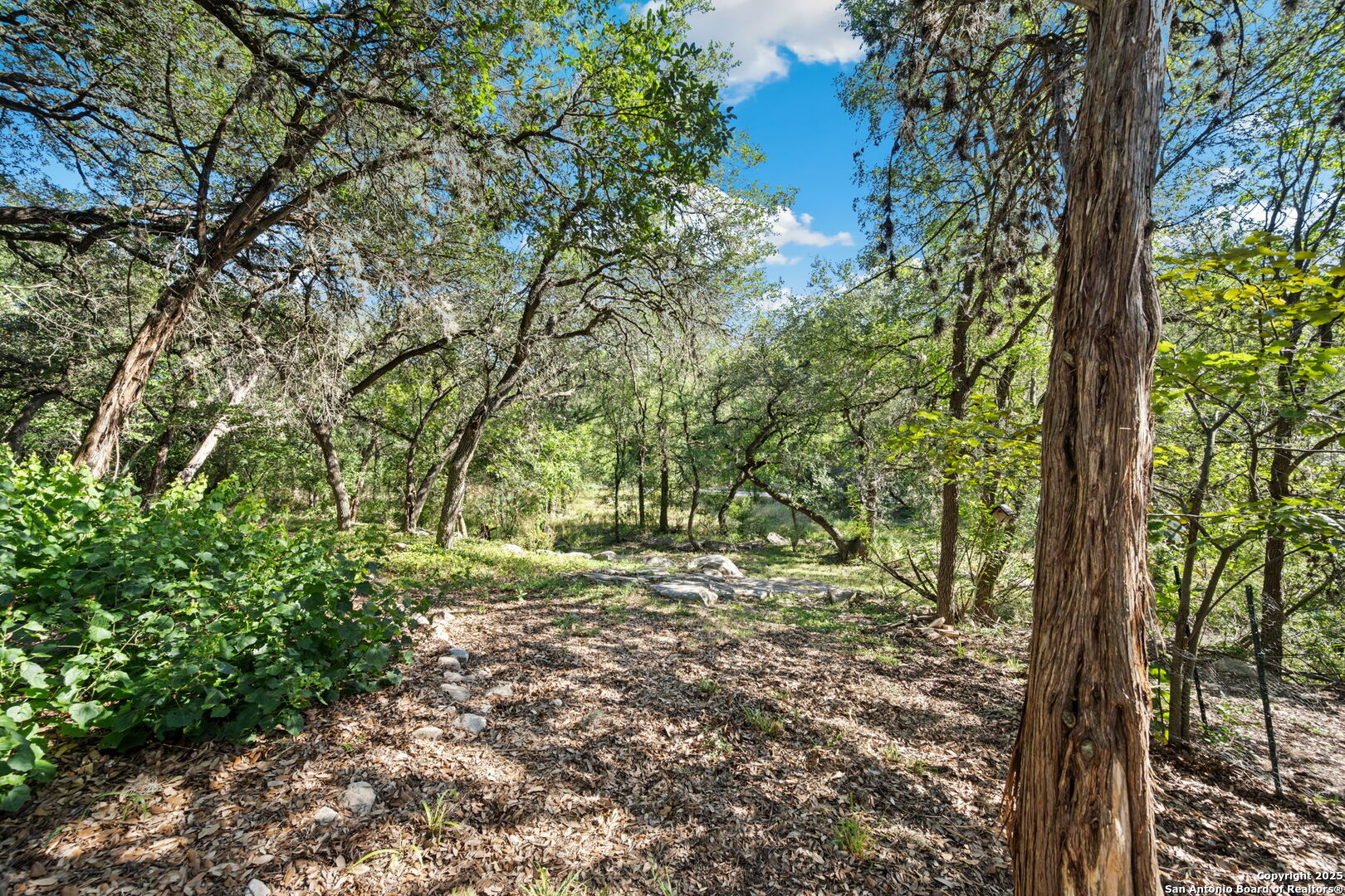 33 Sanctuary Dr.