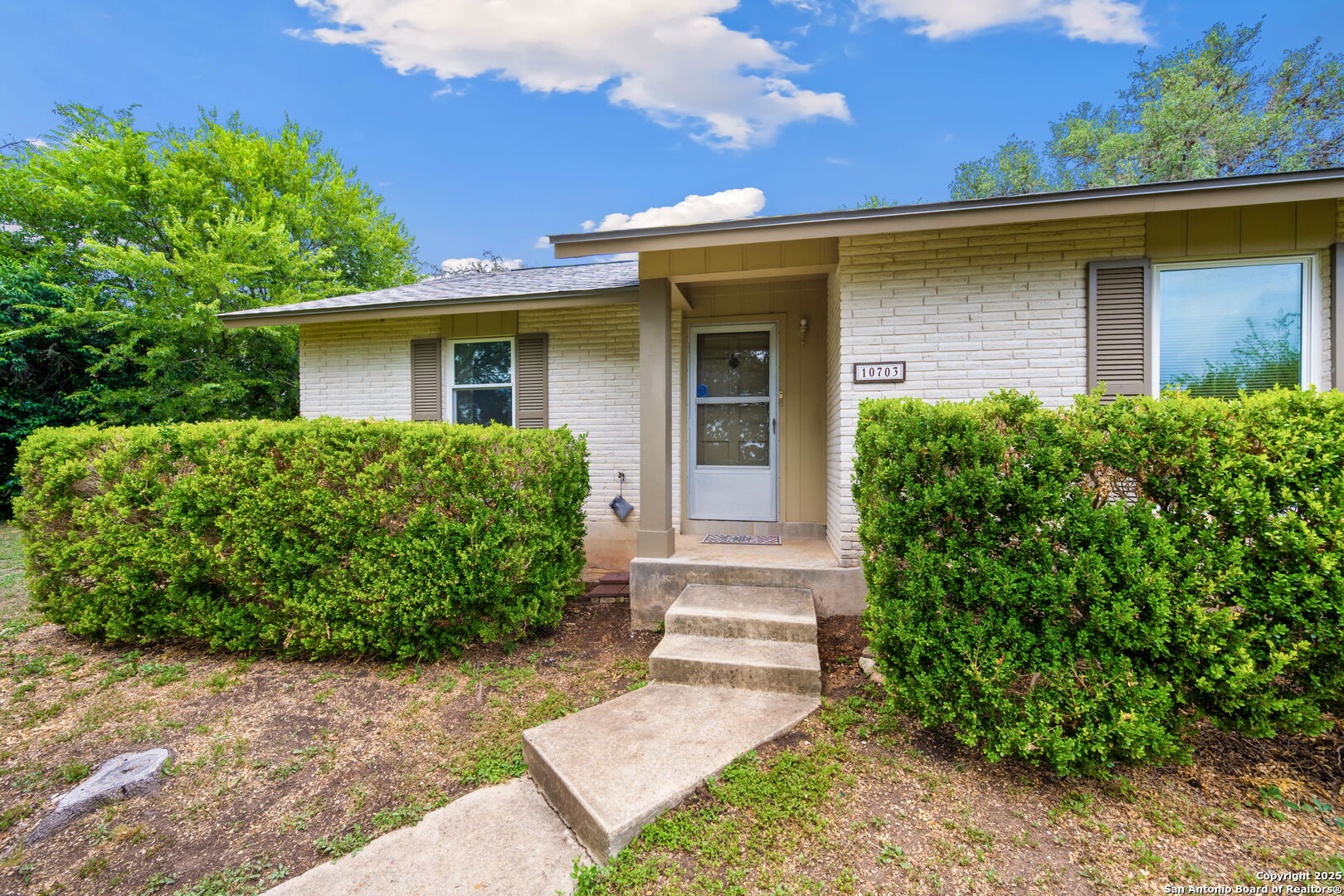 10703 Laurel Leaf