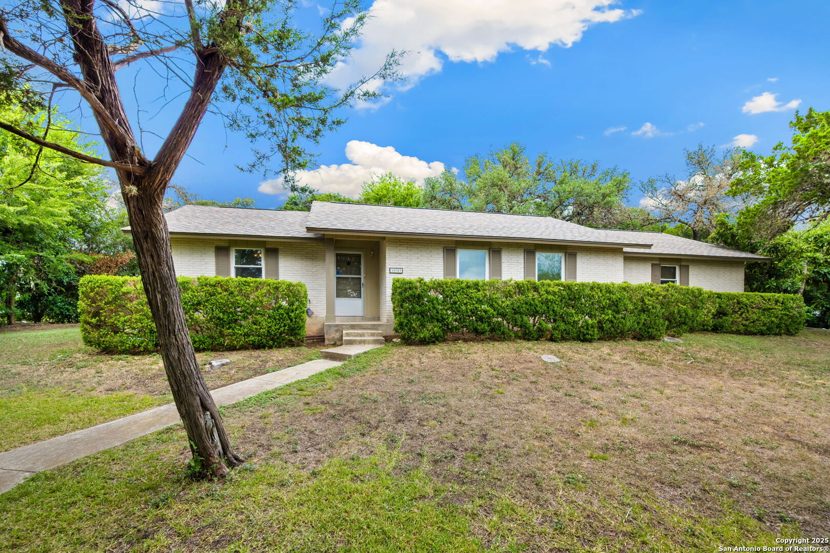 10703 Laurel Leaf